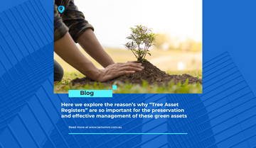 Here we explore the reason’s why “Tree Asset Registers” are so important for the preservation and effective management of these green assets